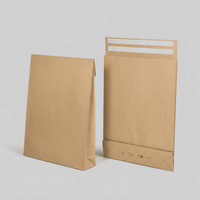 Papier-Versandtasche wiederverschließbar 570 x 450 x 100 mm (100 St.) Packando