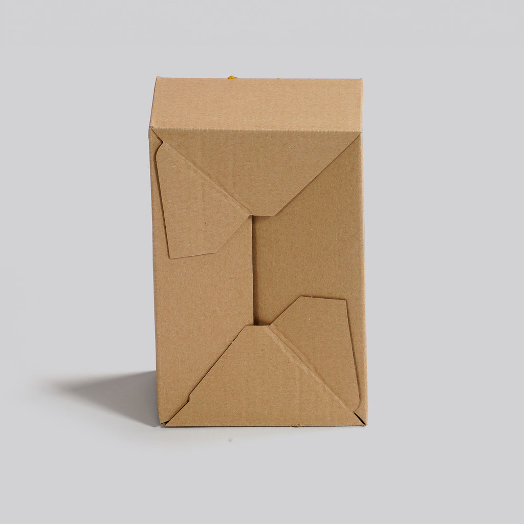 brauner Blitzboden-Karton PackSpeedy 285 x 185 x 140 mm
