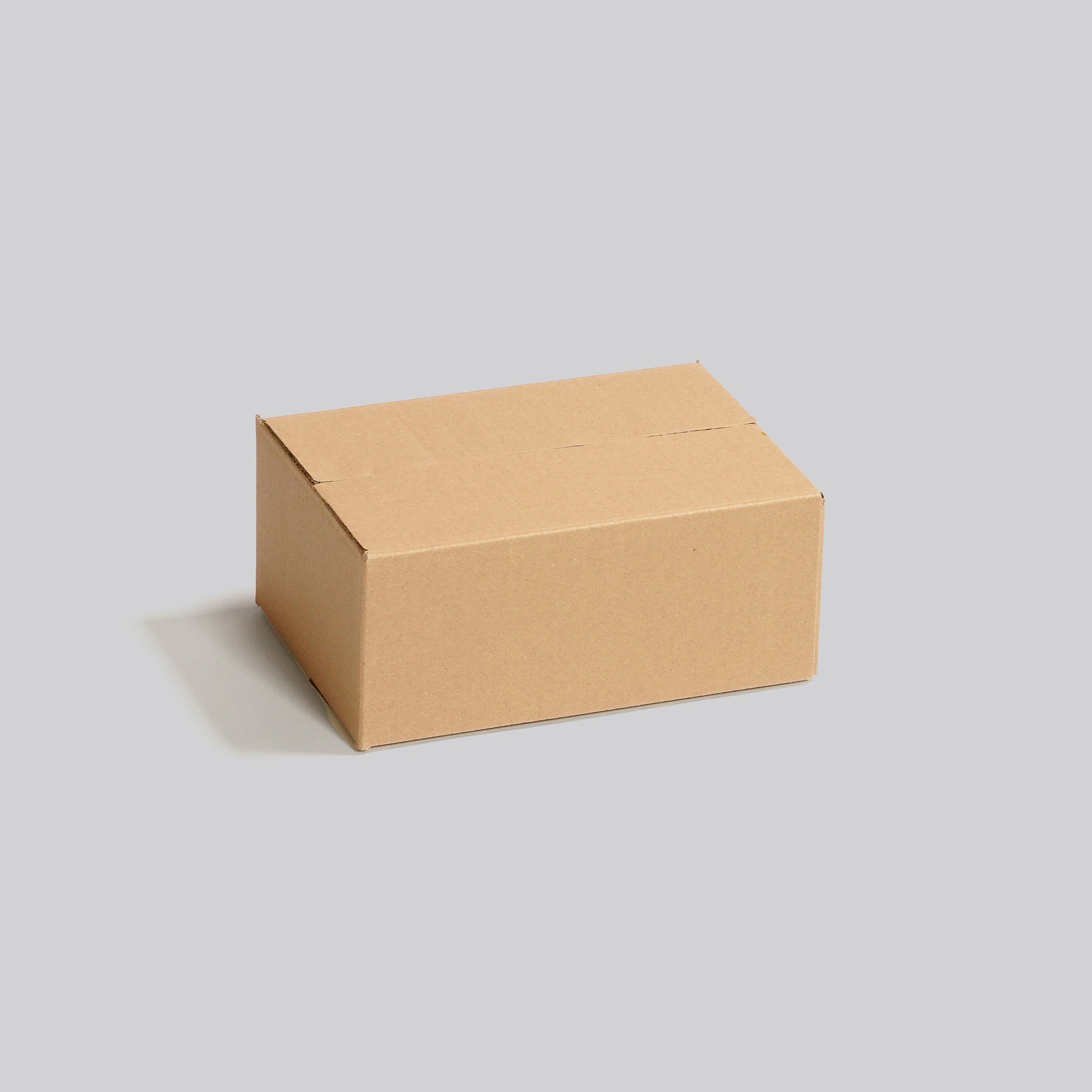 Versandkarton 250 x 175 x 100 mm