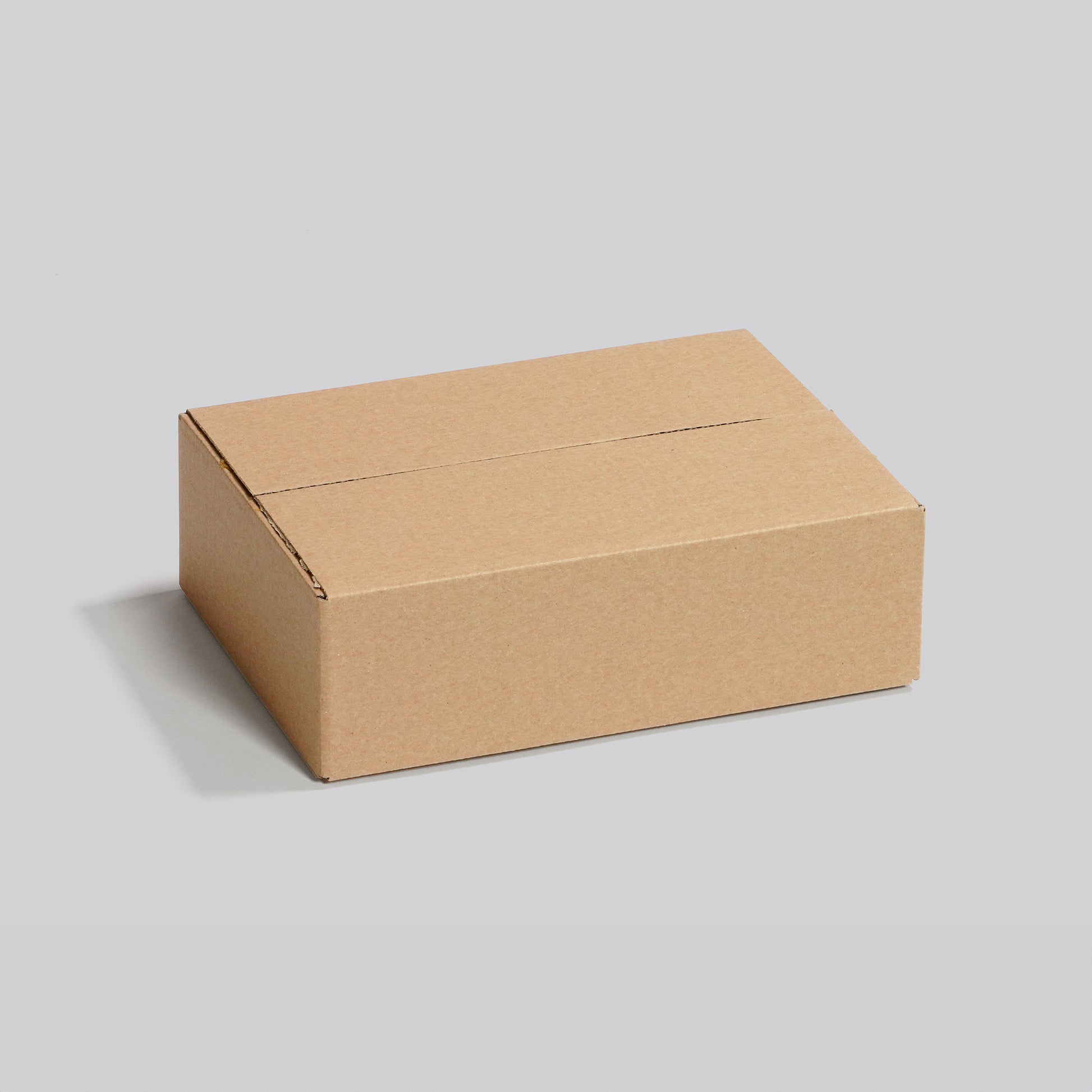 Versandkarton 305 x 215 x 90 mm