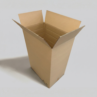 DPD XL Versandkarton 600 x 400 x 900 mm GreenCor Packando